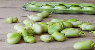 تصویر 2 از قیمت خرید ویژه کنسرو باقلا 400 گرمی خوشمزه درجه یک + شرایط استثنایی و به صرفه